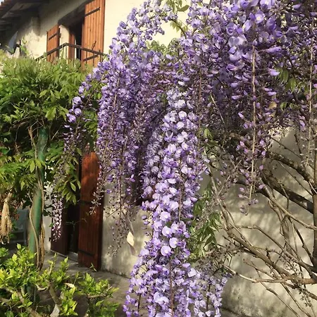 Casa de Férias Les Galineaux La Roquille