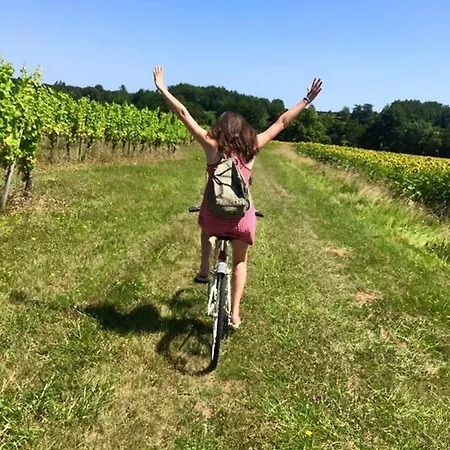 Casa de Férias Les Galineaux *