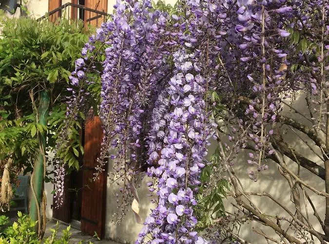 Дом отдыха Les Galineaux La Roquille