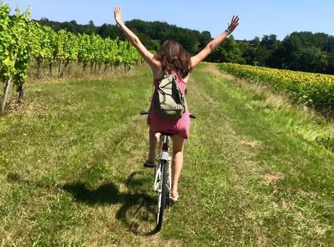 Holiday home Les Galineaux *